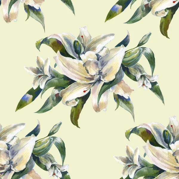 Ζωγραφική με νερομπογιές φύλλα και λουλούδια, χωρίς ραφή πρότυπο σε λευκό φόντο — Φωτογραφία Αρχείου