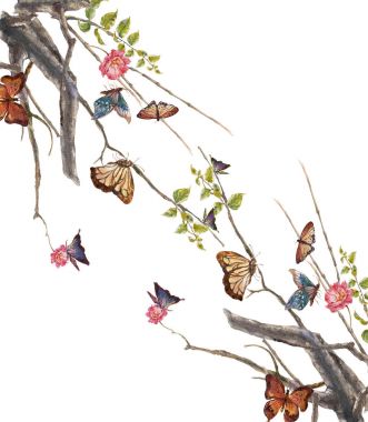 suluboya resim yaprak ve çiçek, beyaz arka plan üzerinde 