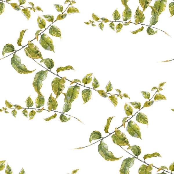 Sulu Boya resimde yaprak, beyaz zemin üzerine Dikişsiz desen