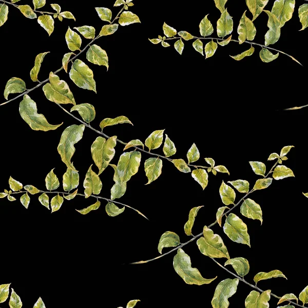 수채화 그림 잎, 어두운 배경에 완벽 한 패턴 — 스톡 사진