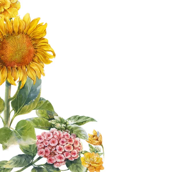 Suluboya resim yaprak ve çiçek, beyaz arka plan üzerinde — Stok fotoğraf