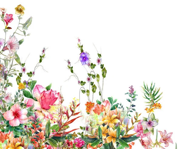 Malba akvarel listy a květ, na bílém pozadí — Stock fotografie