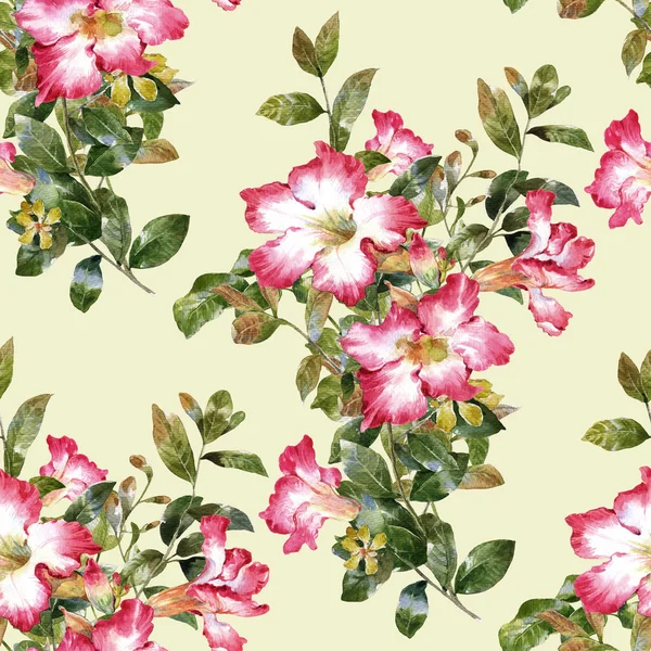 Suluboya resim yaprak ve çiçekler, beyaz zemin üzerine Dikişsiz desen