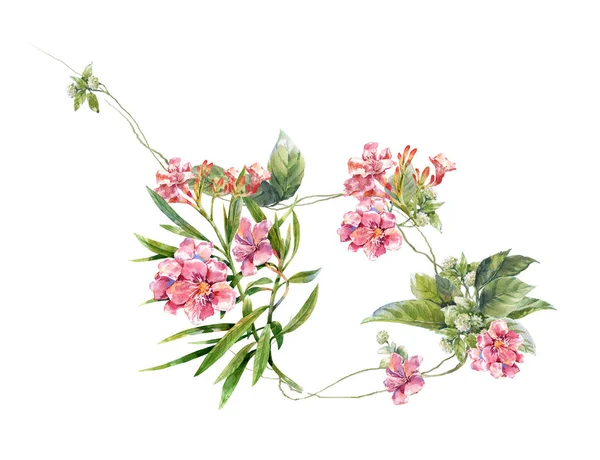 Beyaz arkaplanda yaprakların ve çiçeklerin suluboya resmi.