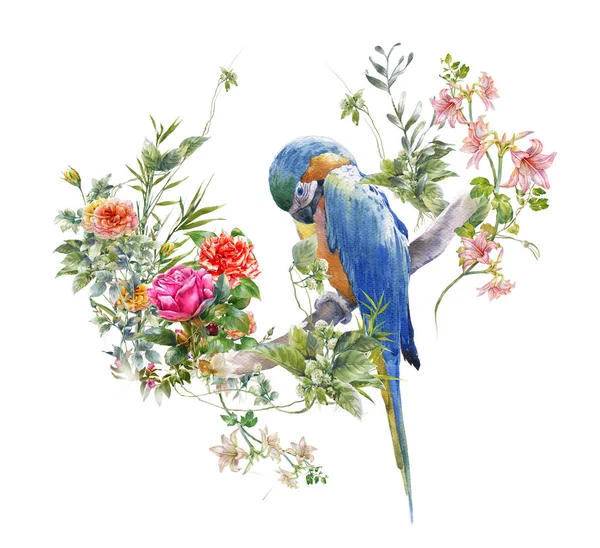 Ζωγραφική με νερομπογιές με πουλιά και λουλούδια, σε λευκό φόντο. — Φωτογραφία Αρχείου