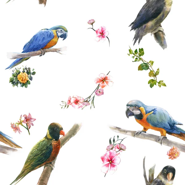 Ζωγραφική με νερομπογιές με πουλιά και λουλούδια, χωρίς ραφή πρότυπο σε λευκό φόντο. — Φωτογραφία Αρχείου