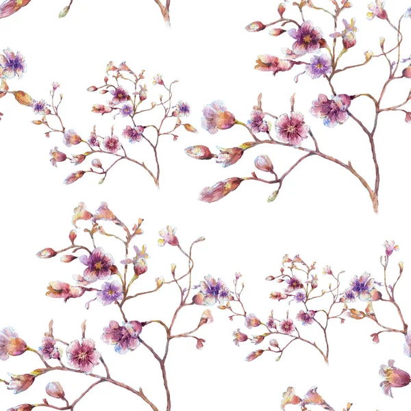 Pittura ad acquerello di foglie e fiori, modello senza cuciture su sfondo bianco. — Foto Stock