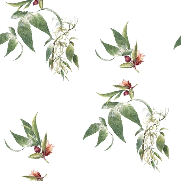 Akvarel Malba Listů Květin Bezešvé Vzor Bílém Pozadí — Stock fotografie