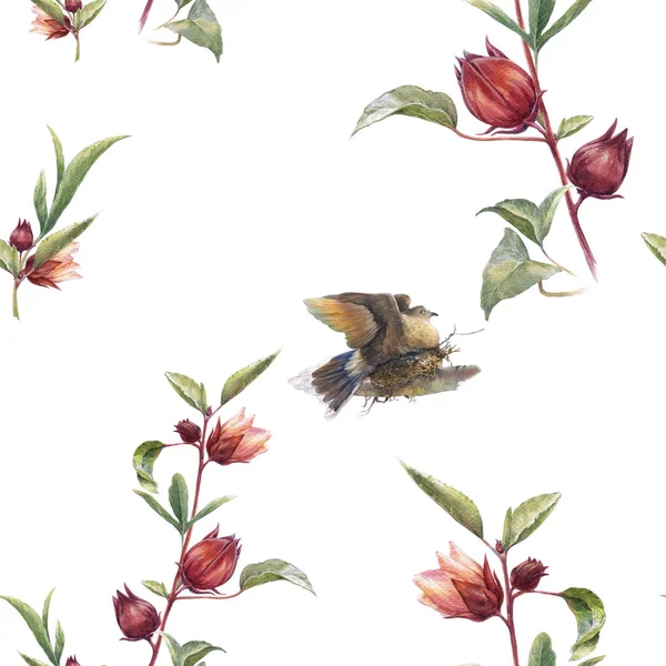 Pintura Aquarela Com Pássaros Flores Padrão Sem Costura Fundo Branco — Fotografia de Stock