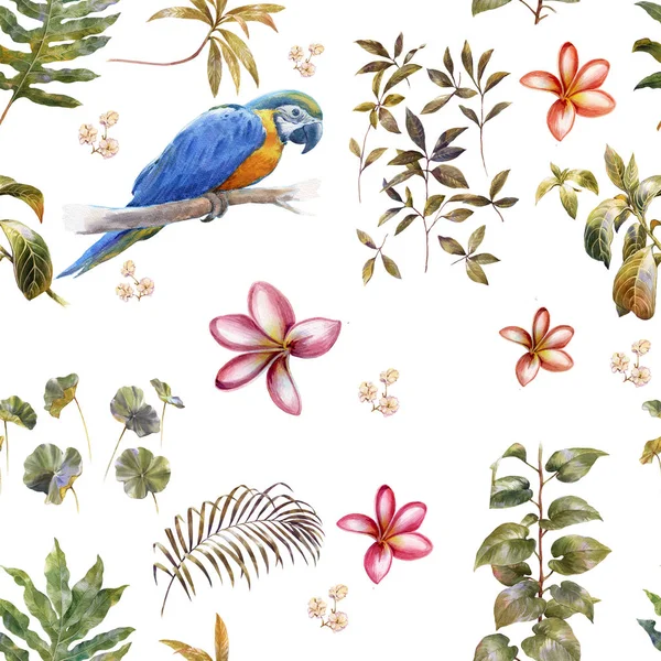 Aquarelle Avec Oiseaux Fleurs Motif Sans Couture Sur Fond Blanc — Photo