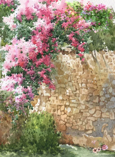摘要彩色花卉水彩画 有建筑物和墙壁的春天 — 图库照片