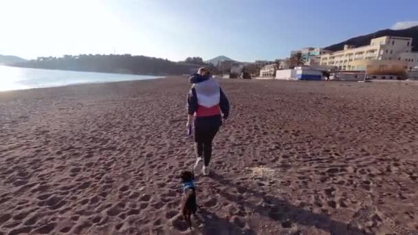 Jovem mulher correndo ao longo da costa com um pequeno cão, os dois vestindo esporte casual . — Vídeo de Stock