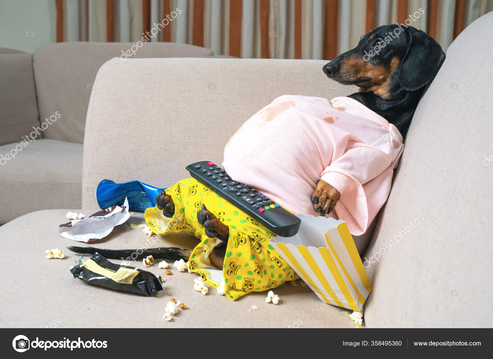 Fat dog couch potato eating a popcorn, fast food and watching