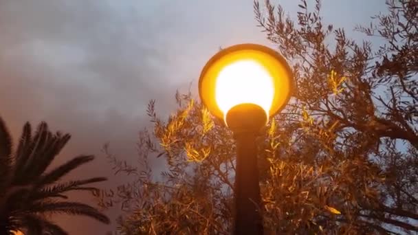 Il tipo di lanterna stradale illuminata con copertura in metallo su sfondo scuro del cielo serale . — Video Stock