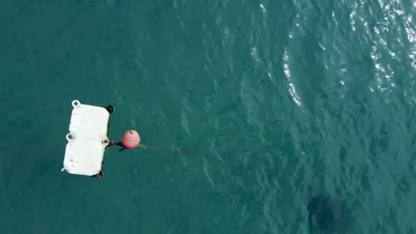 Floating buoy marking swim area for the safety of people and watercraft in the coastal area of the sea or ocean. Mussel trap drifting on the blue water surface, seafood fishing, top view from height. — Stock Video