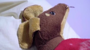Sefil köpek oyuncağı yatakta yatıyor, ateş ve kuzu kılından dolayı yastık koyuyor. Hayvan hastalığı ya da virüs konsepti, evde hastalık.