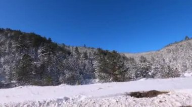 Aracın penceresinden ateş ediyorlar. Kışın güneşli bir günde güzel bir dağ manzarası. Yoğun kozalaklı orman, yol kenarında karla kaplı ve arka planda açık mavi gökyüzü var..