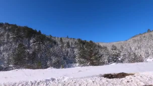 Skjuter med utsikt från fönstret på fordonet. Vackert bergslandskap på solig dag på vintern. tät barrskog täckt med snö vid sidan av vägen med klarblå himmel på bakgrunden. — Stockvideo