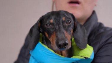 Kız elinde üzgün bir dachshund tutuyor, köpek havlıyor, dönüp evlerine gidiyorlar.