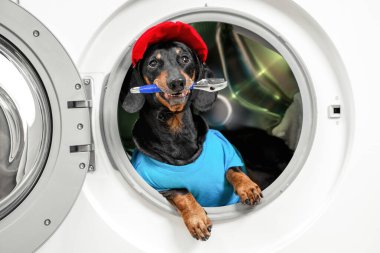 Mavi mekanik kostüm giyen komik bir köpek ve ağzı İngiliz anahtarıyla açılan çamaşır makinesinin varilinden dışarı bakan kırmızı şapkalı. Onarım için mizah anlayışı