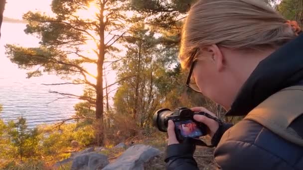 Reizende freelancer blond meisje in bril neemt foto van prachtige zeegezicht met zonsondergang door takken van naaldbomen met behulp van SLR camera met weergave van de top van de berg. — Stockvideo