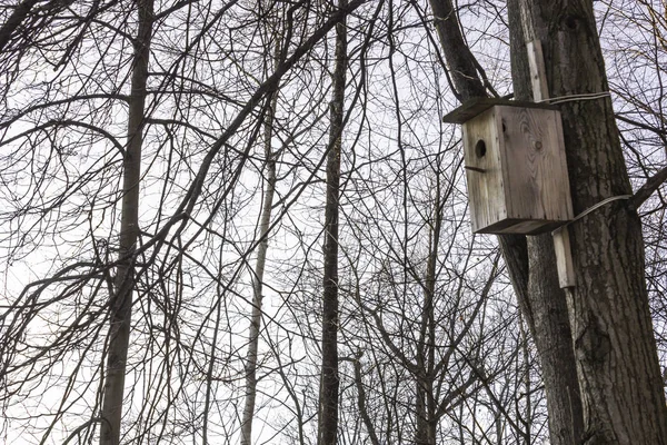 Uma Casa Pássaros Madeira Vazia Parque Inverno Geada Árvores Sem — Fotografia de Stock