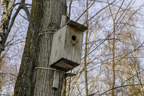 Una Pajarera Madera Vacía Parque Invierno Escarcha Árboles Sin Follaje —  Fotos de Stock