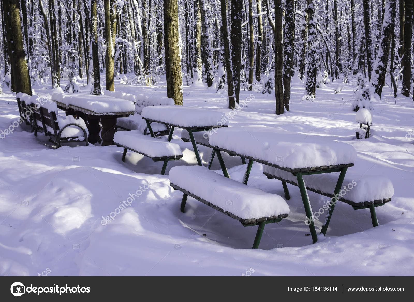 Tables Benches Park Heavy Snowfall Interesting Photo Site Nature