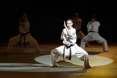 Dövüş sanatları Festivali Rusya