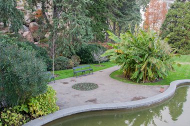 Egzotik bitkiler, gölet ve parkta çim