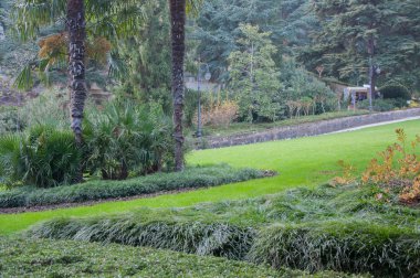 güzel bir egzotik park peyzaj