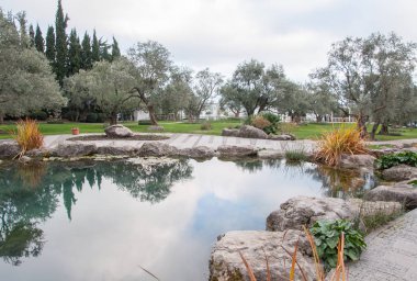 egzotik bir park mavi su ile güzel gölet