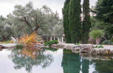 egzotik bir park mavi su ile güzel gölet