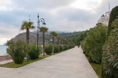 bulutlu bir günde egzotik dolgu
