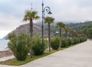 bulutlu bir günde egzotik dolgu