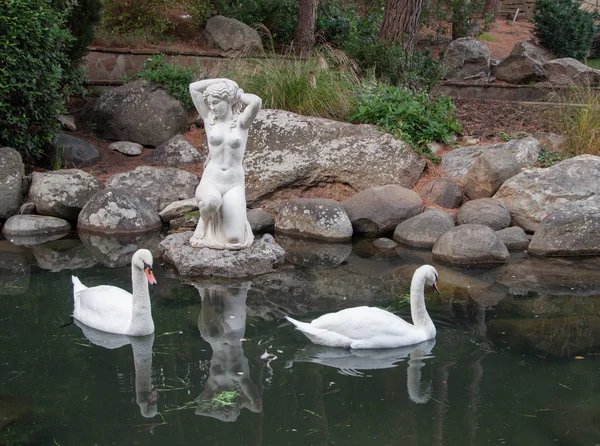 two swans in a pond with antique sculpture
