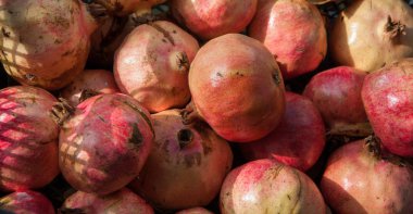 parlak kırmızı nar meyve güneş at kutusundaki