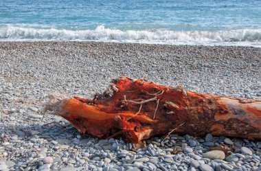 Kırmızı ahşap ve çakıl plaj doku