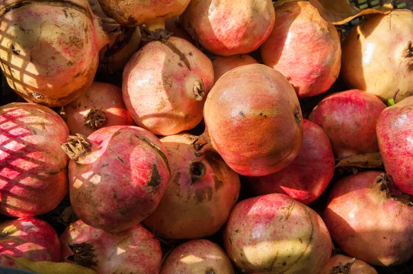 parlak kırmızı nar meyve güneş at kutusundaki