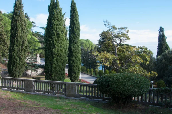 Régi szubtrópusi park, a tenger közelében — Stock Fotó