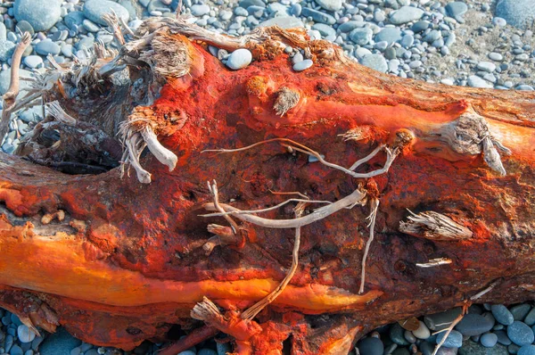 Kırmızı ahşap ve çakıl plaj doku