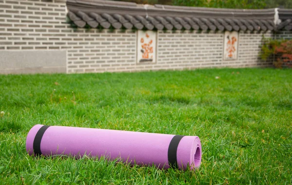 Yoga mat Asya bahçesinde çimenlerin üzerinde
