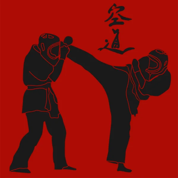Kudo martial arts fighters illustration — Stock Vector