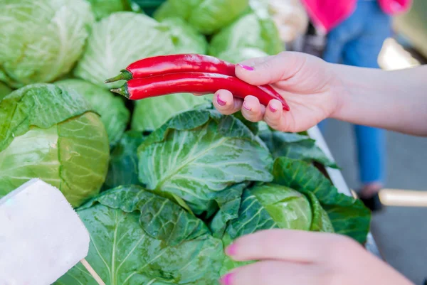 Close up concept. Picking vegetables at local green market. Young woman buying vegetables at the green market. — Stock Photo, Image