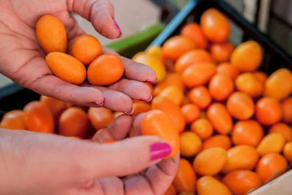 Mujer sosteniendo montón de kumquat. Mujer comprando frutas y verduras en el mercado local de alimentos. Puesto de mercado con variedad de frutas orgánicas  . —  Fotos de Stock