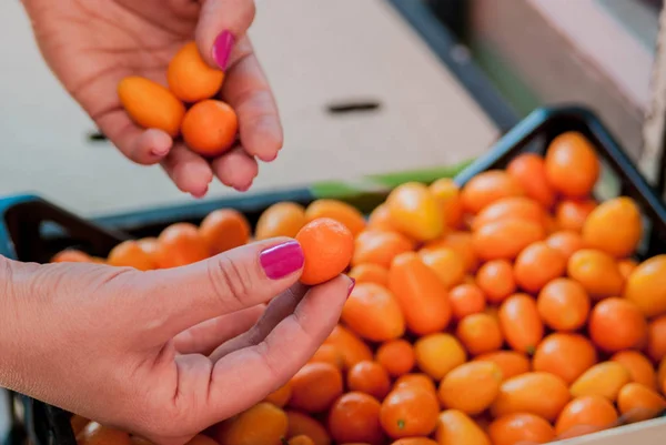 Mujer sosteniendo montón de kumquat. Mujer comprando frutas y verduras en el mercado local de alimentos. Puesto de mercado con variedad de frutas orgánicas  . —  Fotos de Stock