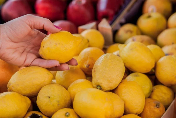 Pretty female customer buying lemons on fruit market. woman choosing lemons. woman choosing fresh lemons for measuring in grocery store — Stock Photo, Image