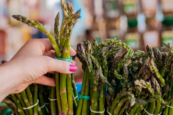 La mujer compra espárragos. Manojo de espárragos frescos con manos de mujer. mujer sosteniendo mostrando espárragos en primer plano. Concepto de alimentación saludable —  Fotos de Stock