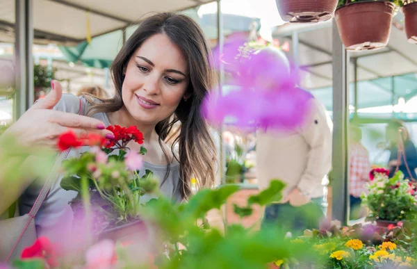 Mujer joven sosteniendo geranio en maceta de barro en el centro del jardín. Mujer joven comprando flores en el mercado jardín centro — Foto de Stock