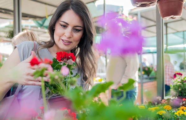 Mujer joven sosteniendo geranio en maceta de barro en el centro del jardín. Mujer joven comprando flores en el mercado jardín centro — Foto de Stock